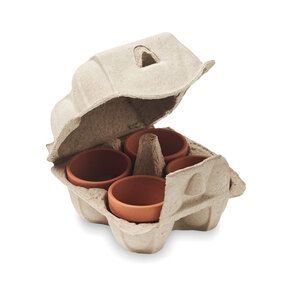 CRESS Terracotta Cress Growing Kit in Egg Carton - GiftRetail MO6886