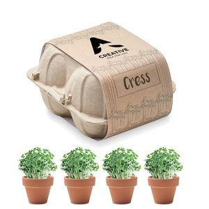 CRESS Terracotta Cress Growing Kit in Egg Carton - GiftRetail MO6886